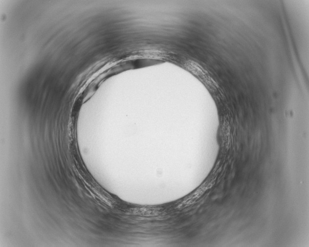 X0000087010338200705141837