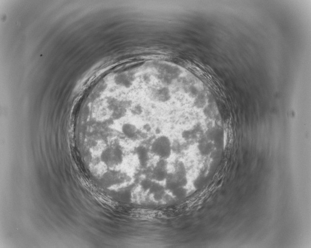 X0000087010339200705141837