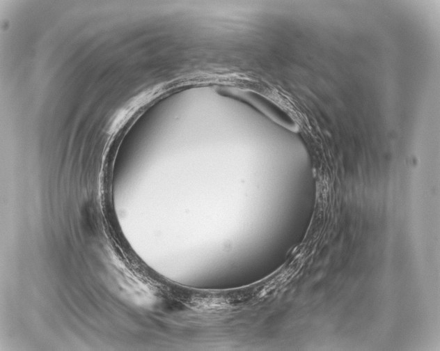 X0000087010340200705141837