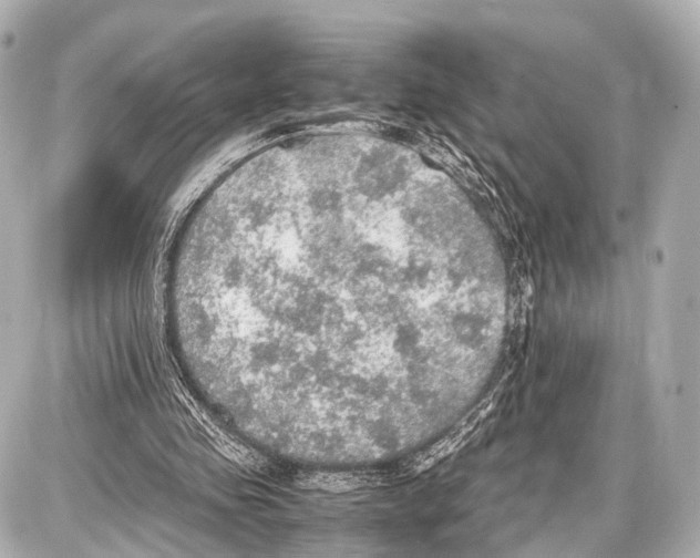 X0000087010341200705141837