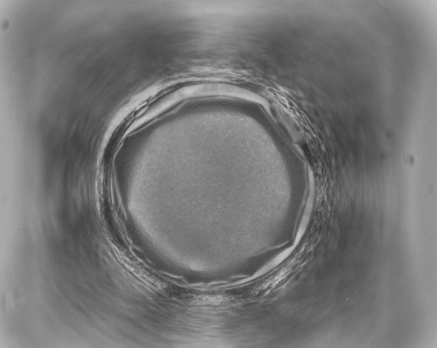 X0000087010342200705141837