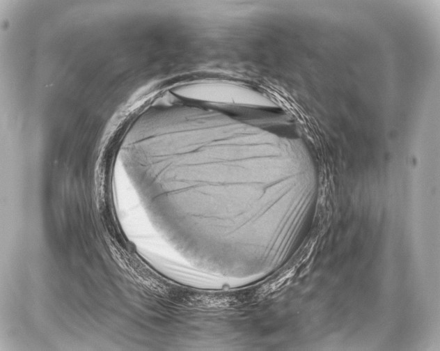 X0000087010343200705141837