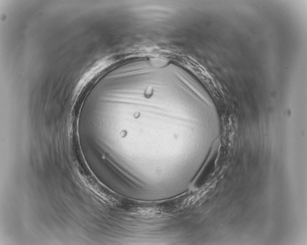 X0000087010344200705141837