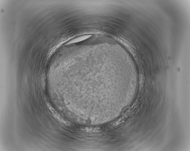 X0000087010345200705141837