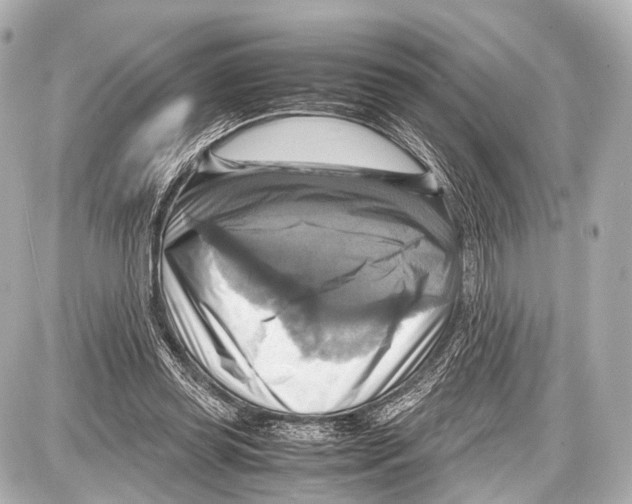 X0000087010349200705141837