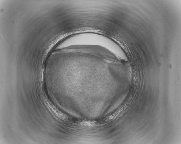 X0000087010350200705141837