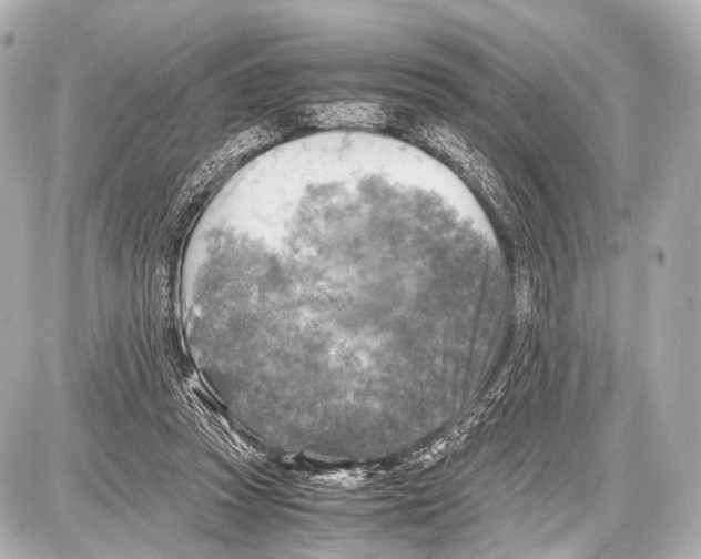 X0000087010353200705141837