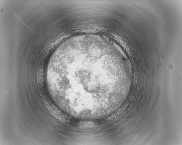 X0000087010354200705141837