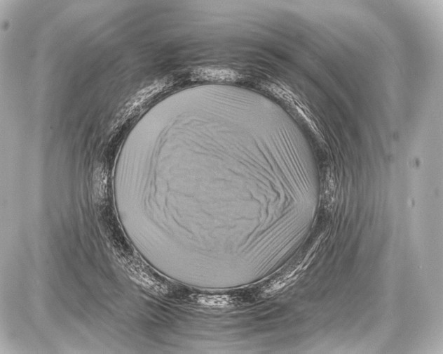 X0000087010355200705141837