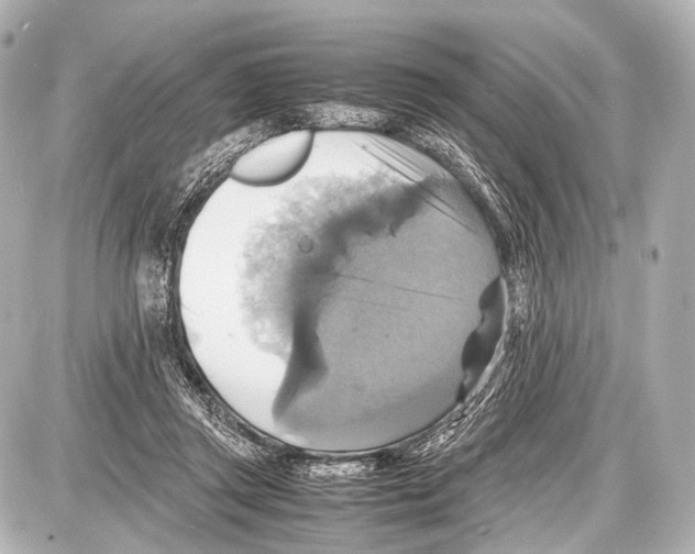 X0000087010357200705141837