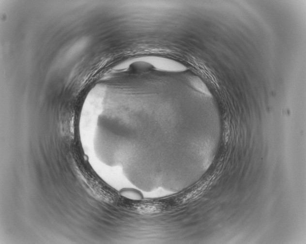 X0000087010358200705141837