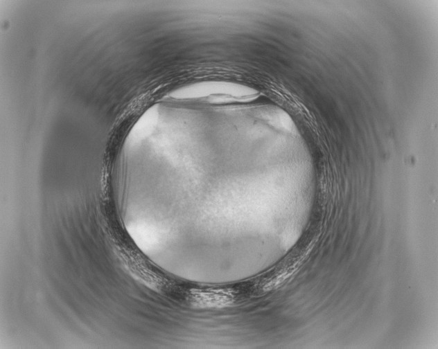 X0000087010359200705141837