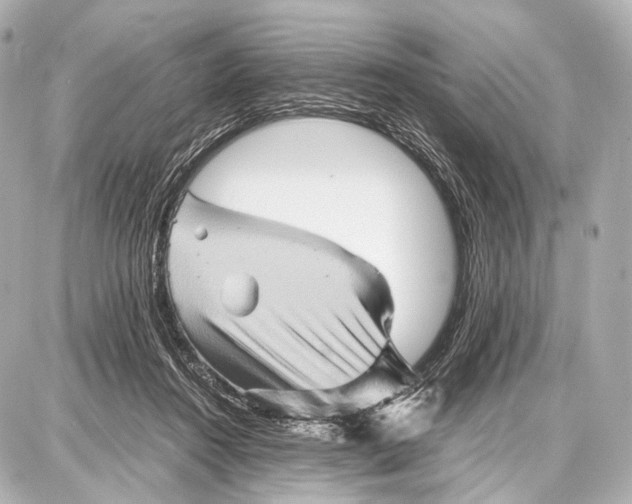 X0000087010360200705141837