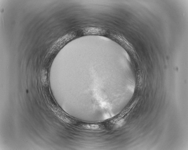 X0000087010361200705141837