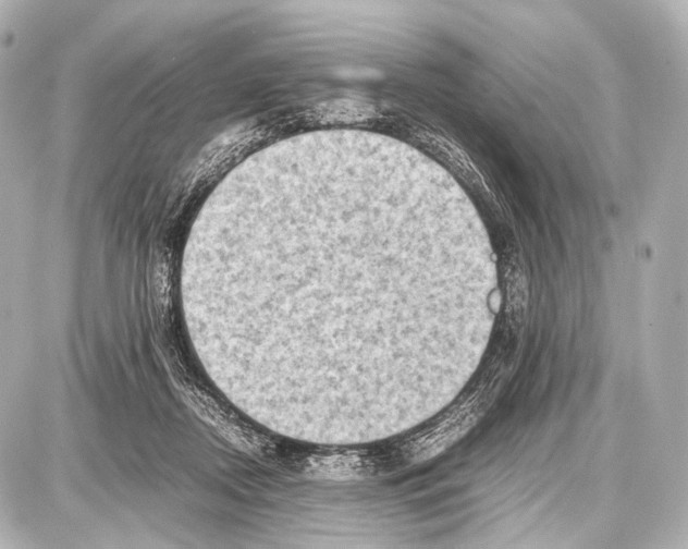 X0000087010362200705141837