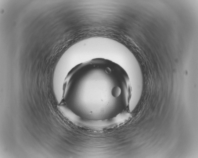 X0000087010368200705141837