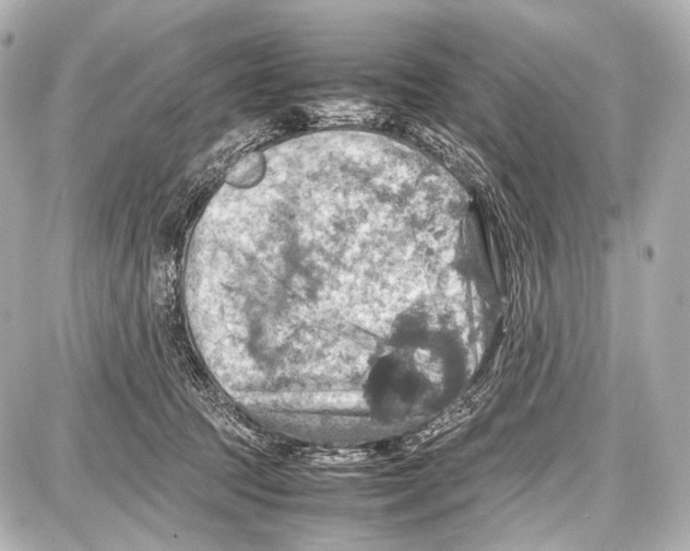 X0000087010369200705141837