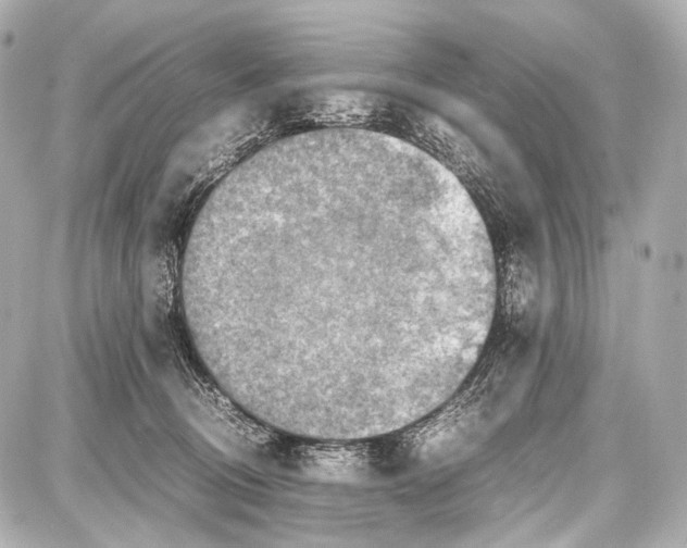 X0000087010370200705141837