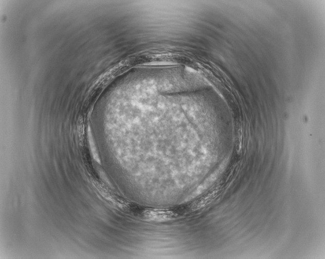 X0000087010372200705141837