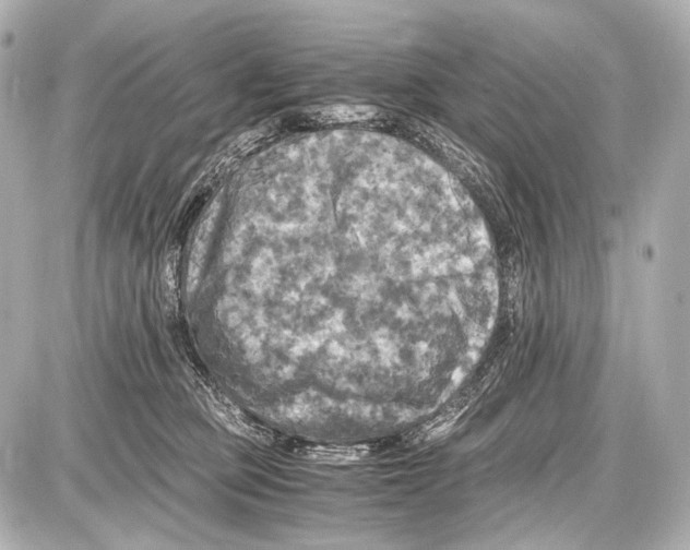 X0000087010373200705141837