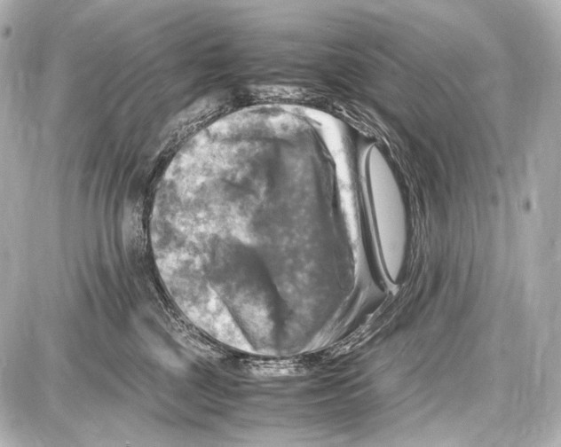 X0000087010377200705141837