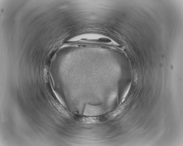 X0000087010378200705141837