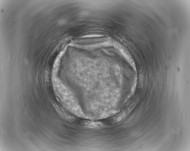 X0000087010379200705141837