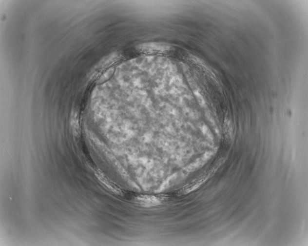 X0000087010381200705141837