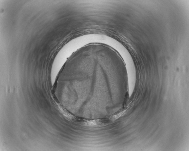 X0000087010382200705141837