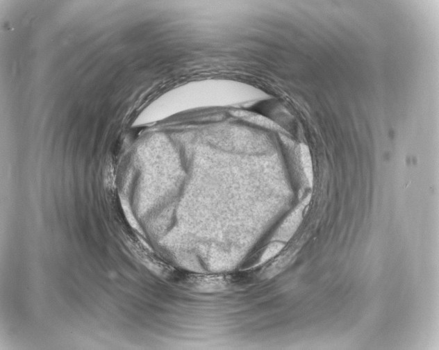 X0000087010384200705141837