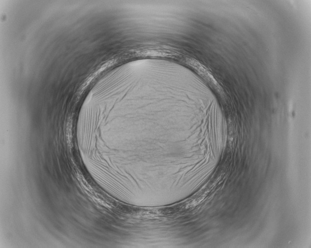 X0000087010386200705141837