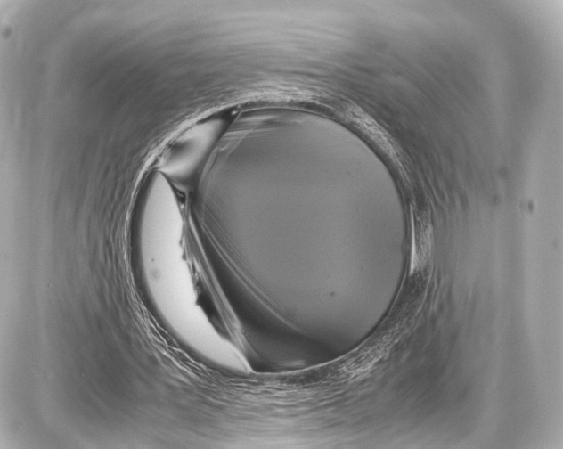 X0000087010387200705141837