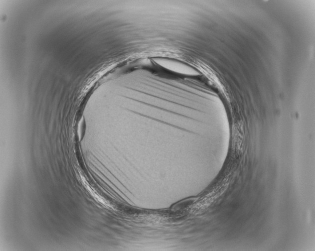 X0000087010389200705141837