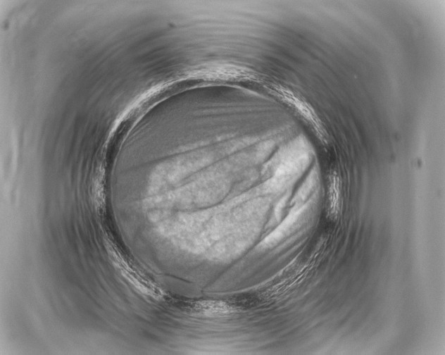 X0000087010392200705141836