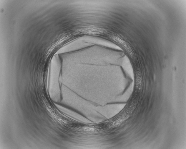 X0000087010394200705141836