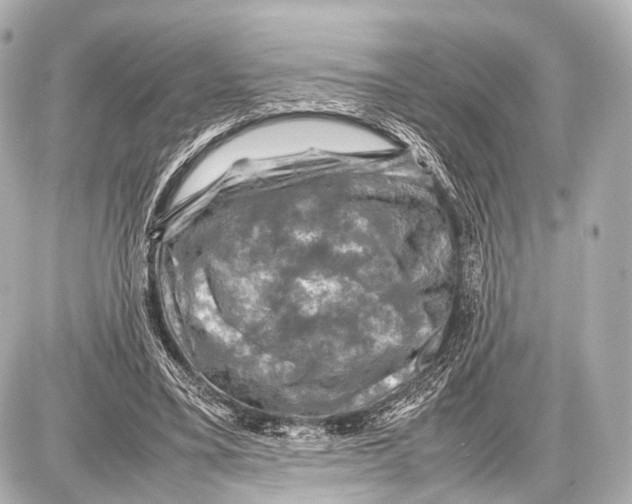 X0000087010395200705141836