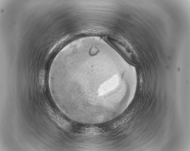 X0000087010396200705141836