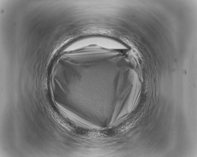 X0000087010399200705141836