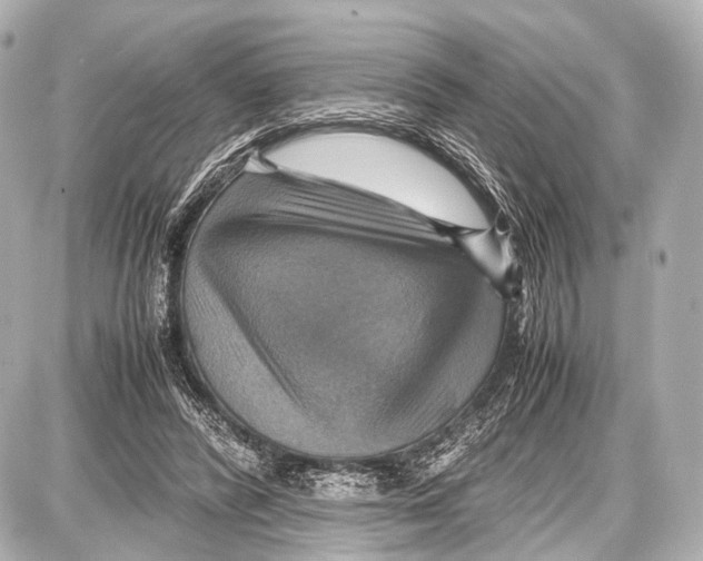 X0000087010400200705141836