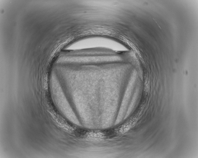 X0000087010403200705141836