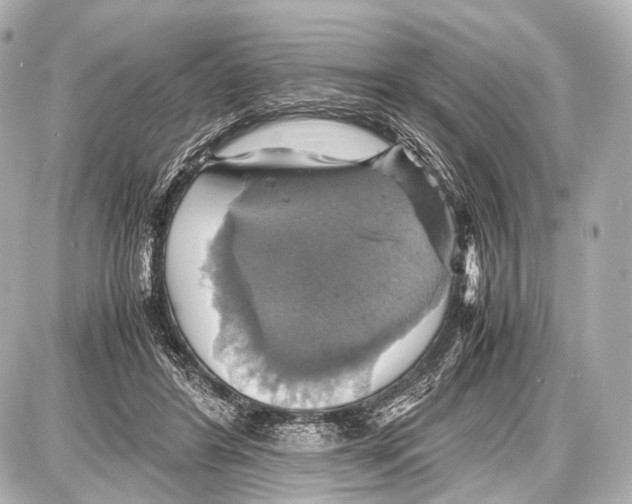 X0000087010404200705141836