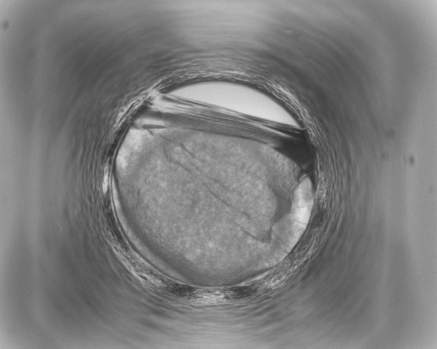 X0000087010405200705141836