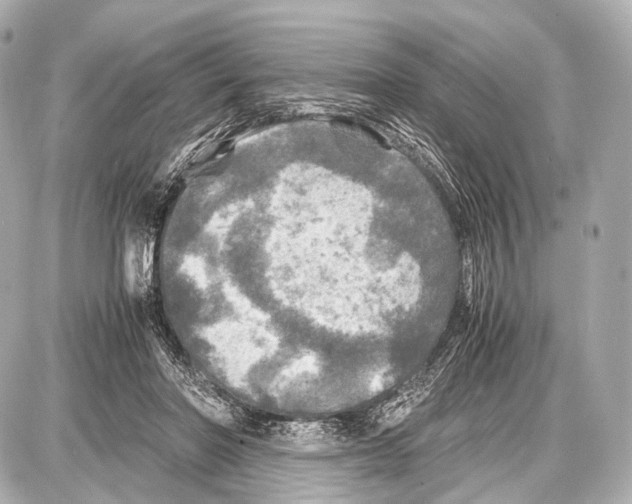 X0000087010406200705141836