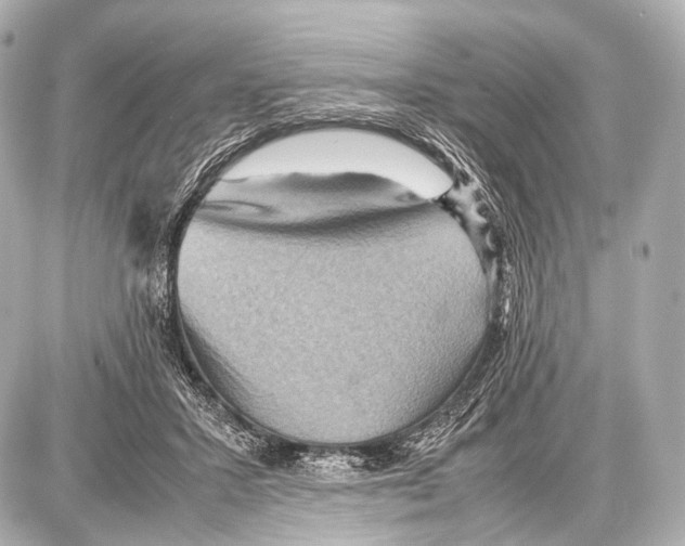 X0000087010407200705141836