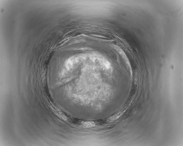 X0000087010409200705141836