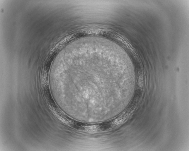 X0000087010411200705141836