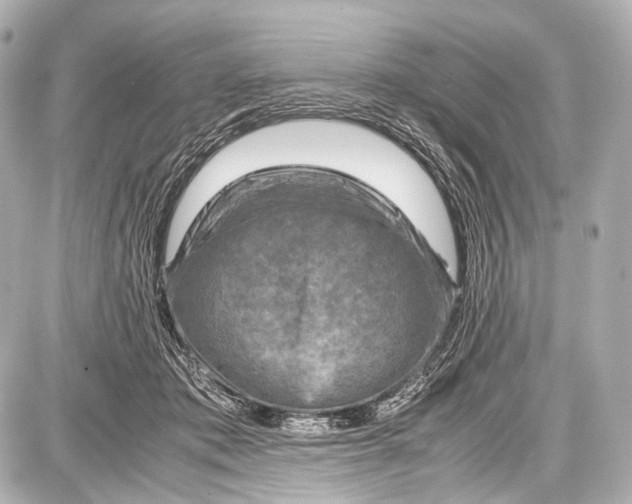 X0000087010413200705141836