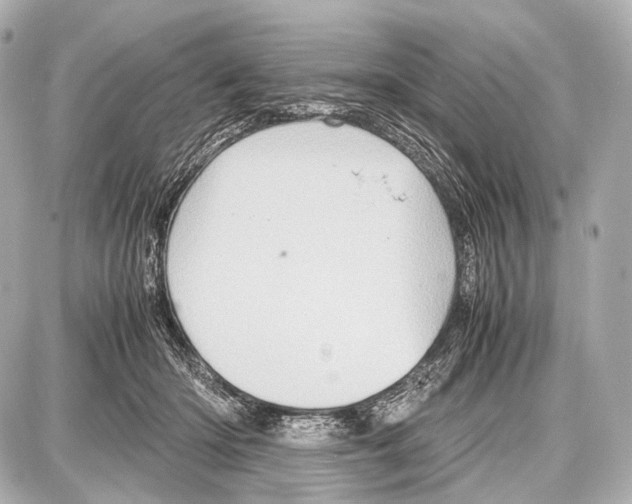 X0000087010414200705141836