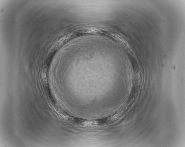 X0000087010415200705141836