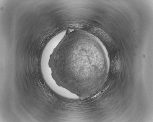 X0000087010416200705141836